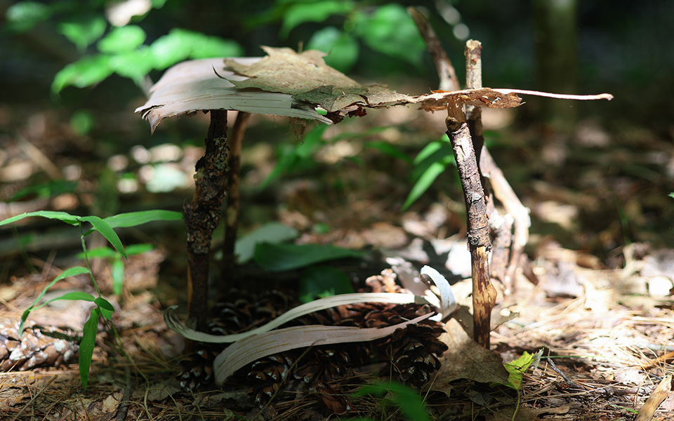 FairyHouseBuildingDay_CascadeFalls_July2024_Ours_Blog3.jpg